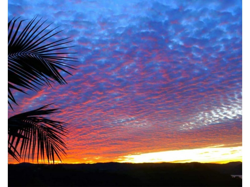 584 Maleny-Montville Road, Balmoral Ridge QLD 4552