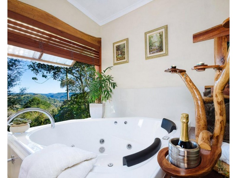 584 Maleny-Montville Road, Balmoral Ridge QLD 4552
