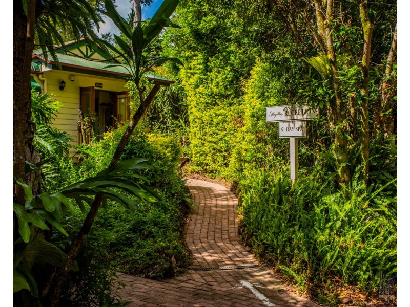 584 Maleny-Montville Road, Balmoral Ridge QLD 4552