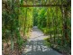 584 Maleny-Montville Road, Balmoral Ridge QLD 4552