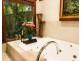 584 Maleny-Montville Road, Balmoral Ridge QLD 4552