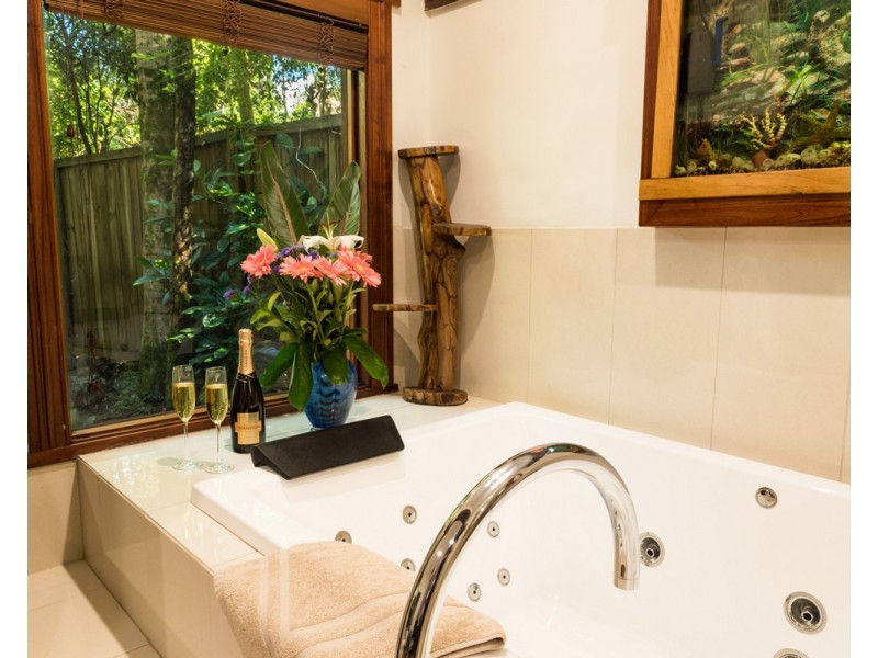 584 Maleny-Montville Road, Balmoral Ridge QLD 4552