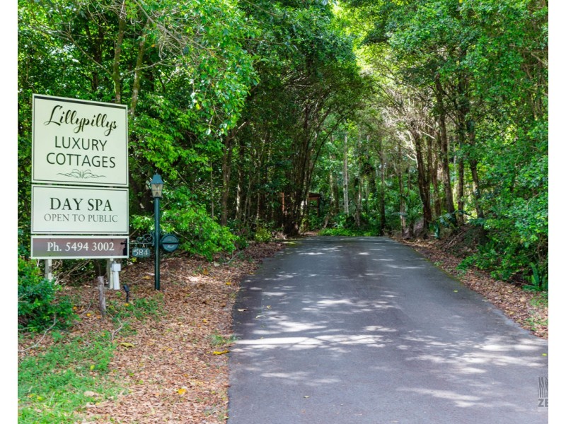 584 Maleny-Montville Road, Balmoral Ridge QLD 4552