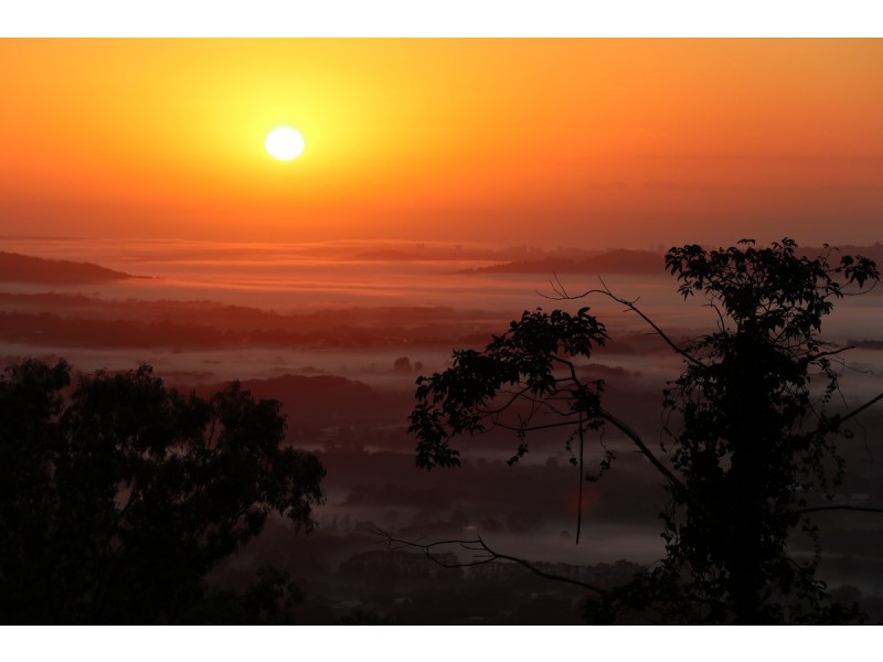 63 Balmoral Road, Montville QLD 4560