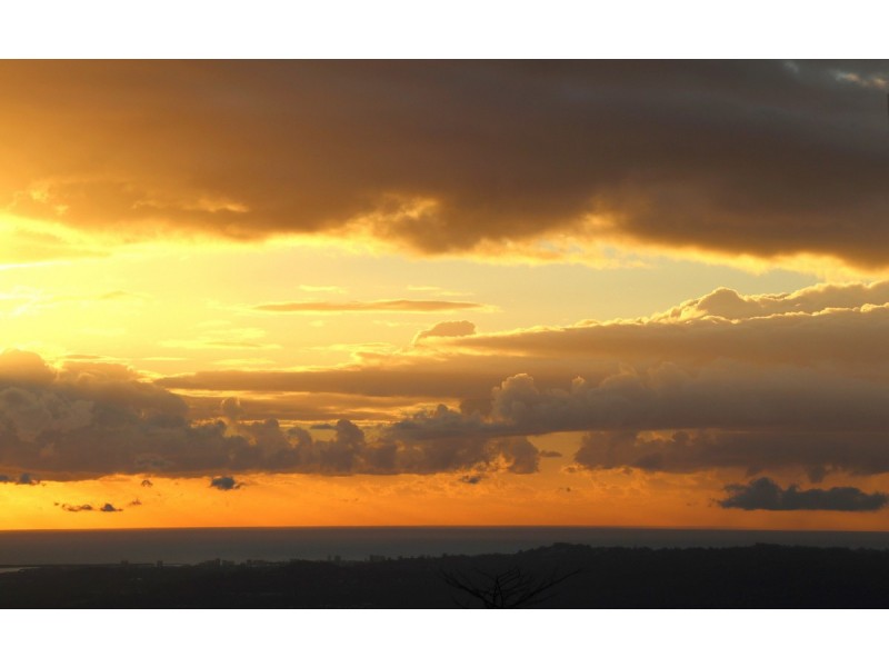 63 Balmoral Road, Montville QLD 4560