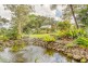 937 Maleny Montville Road, Balmoral Ridge QLD 4552