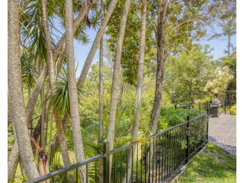 8 Loatta Court, Buderim QLD 4556