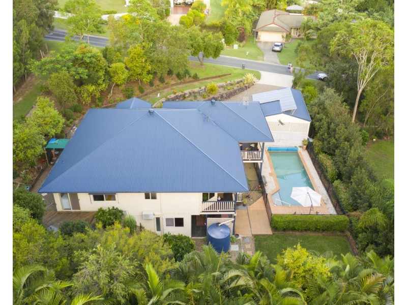 12 Bushbird Court, Diddillibah QLD 4559