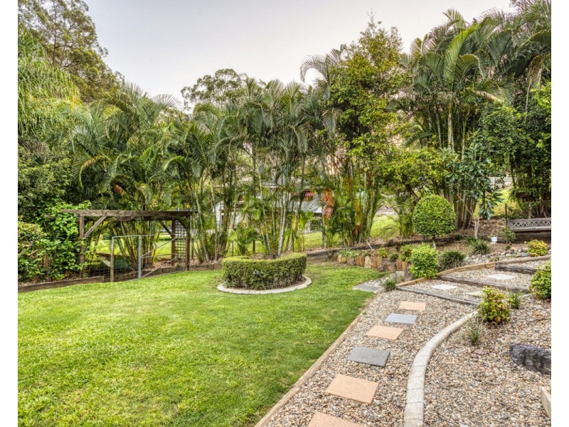 12 Bushbird Court, Diddillibah QLD 4559