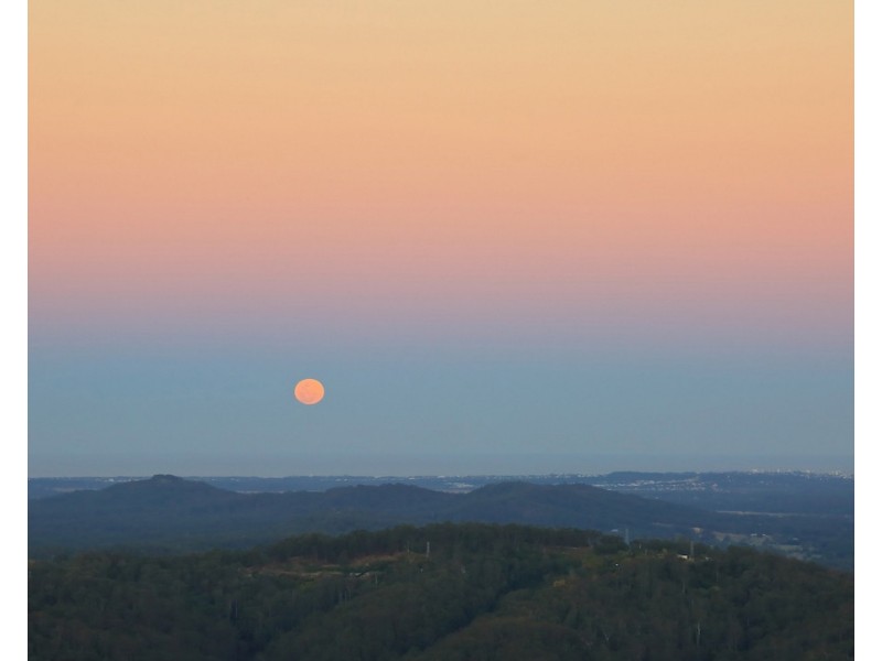 575 Maleny Montville Road, Balmoral Ridge QLD 4552