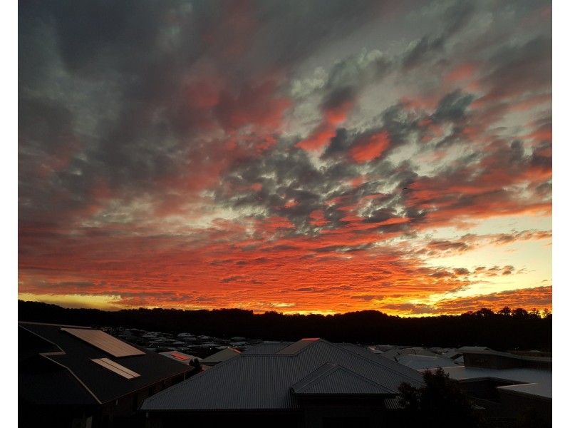 184/1 Halcyon Way, Bli Bli QLD 4560