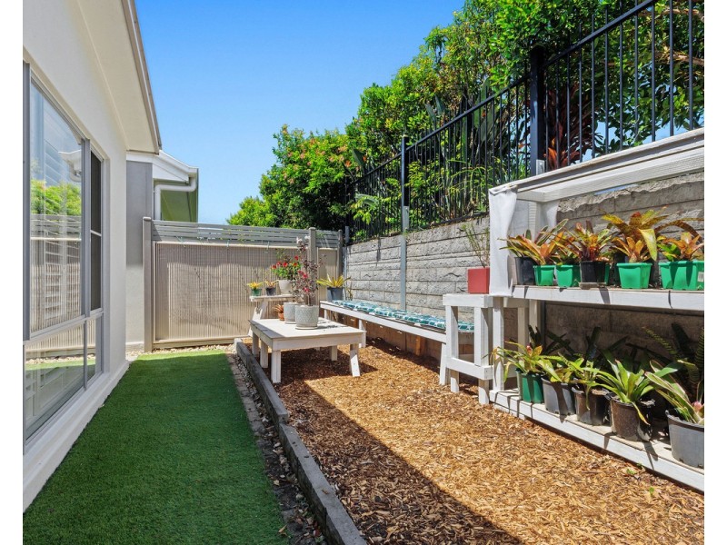 13/1 Halcyon Way, Bli Bli QLD 4560