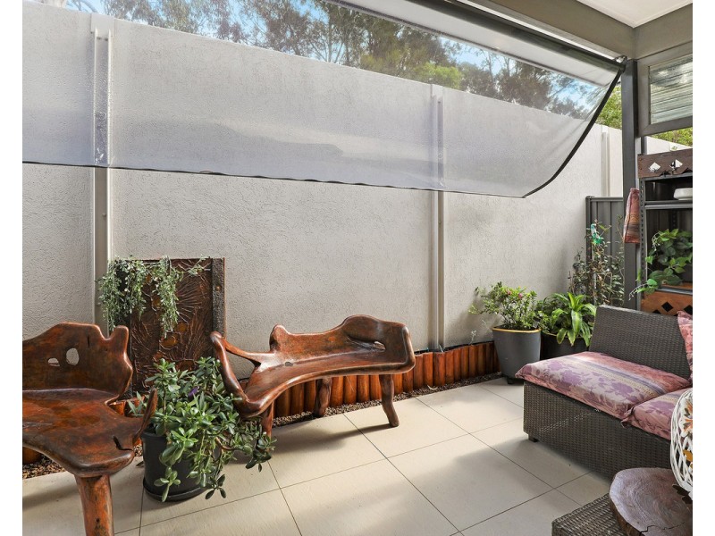 5/596 David Low Way, Pacific Paradise QLD 4564