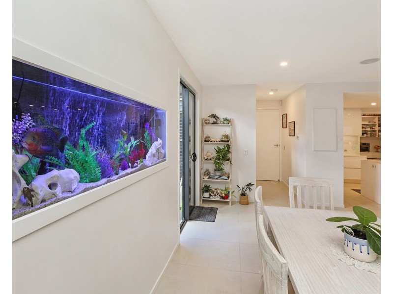 99/596 David Low Way, Pacific Paradise QLD 4564
