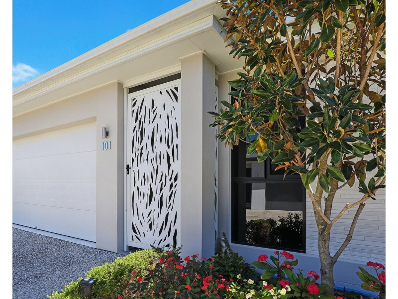 101/596 David Low Way, Pacific Paradise QLD 4564