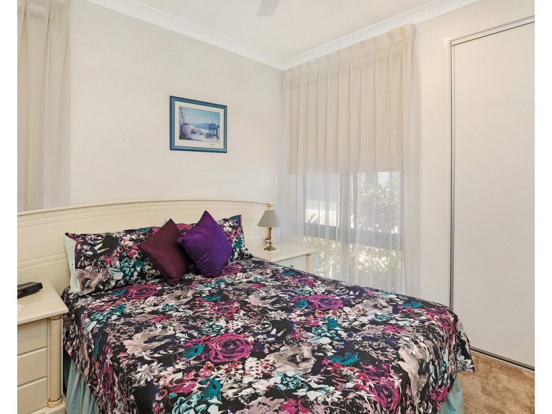 96/596 David Low Way, Pacific Paradise QLD 4564