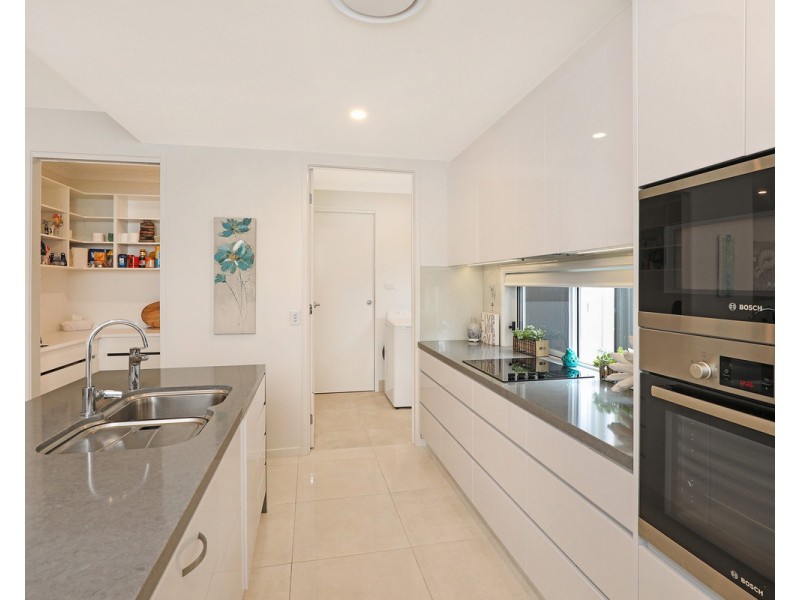 41/596 David Low Way, Pacific Paradise QLD 4564