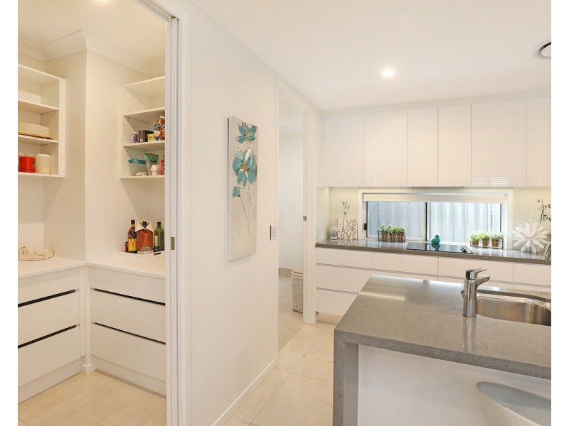 41/596 David Low Way, Pacific Paradise QLD 4564