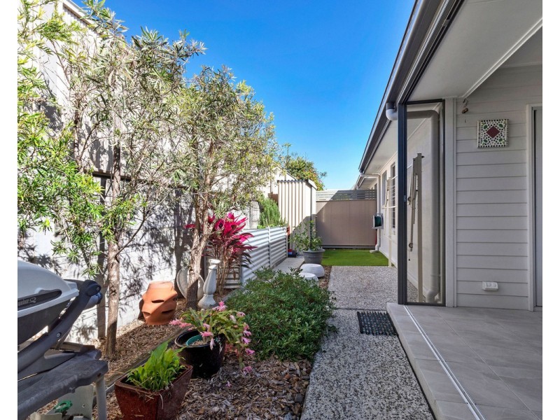 31/1 Halcyon Way, Bli Bli QLD 4560