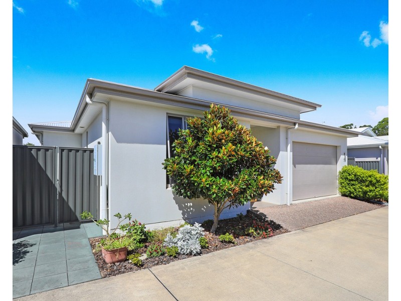 75/596 David Low Way, Pacific Paradise QLD 4564