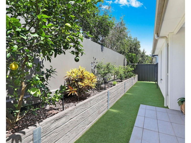 1/596 David Low Way, Pacific Paradise QLD 4564