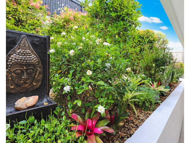 118/1 Halcyon Way, Bli Bli QLD 4560