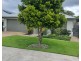 16/27 Waigani Street, Bli Bli QLD 4560