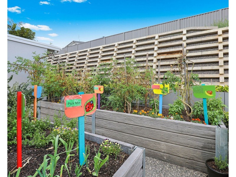 100/38 Landershute Road, Palmwoods QLD 4555