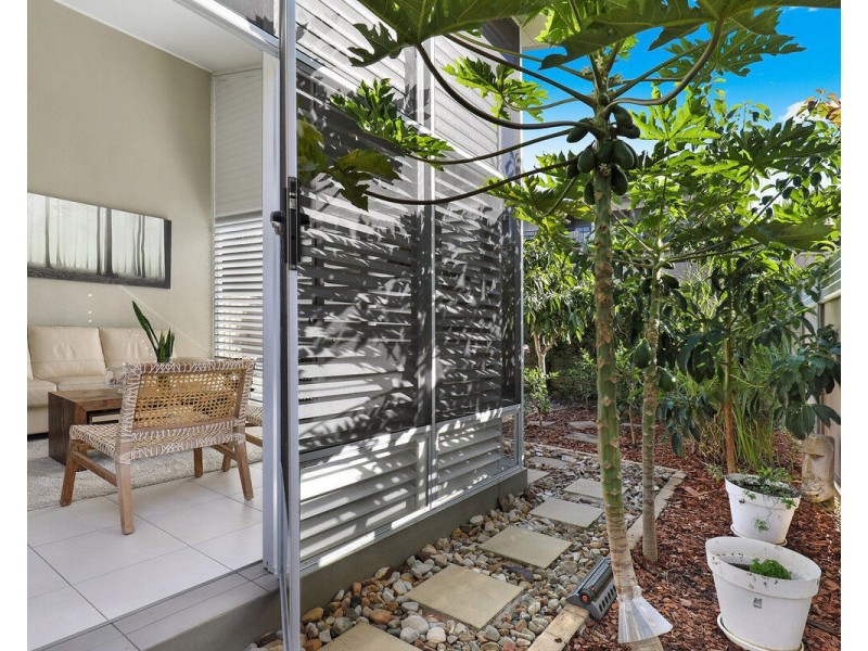 155/27 Waigani Street, Bli Bli QLD 4560