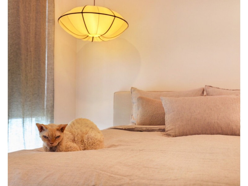 2/12 Sanctuary Street, Yandina QLD 4561