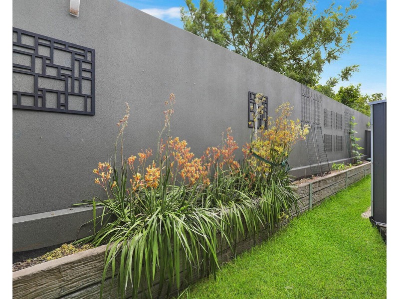 47/596 David Low Way, Pacific Paradise QLD 4564