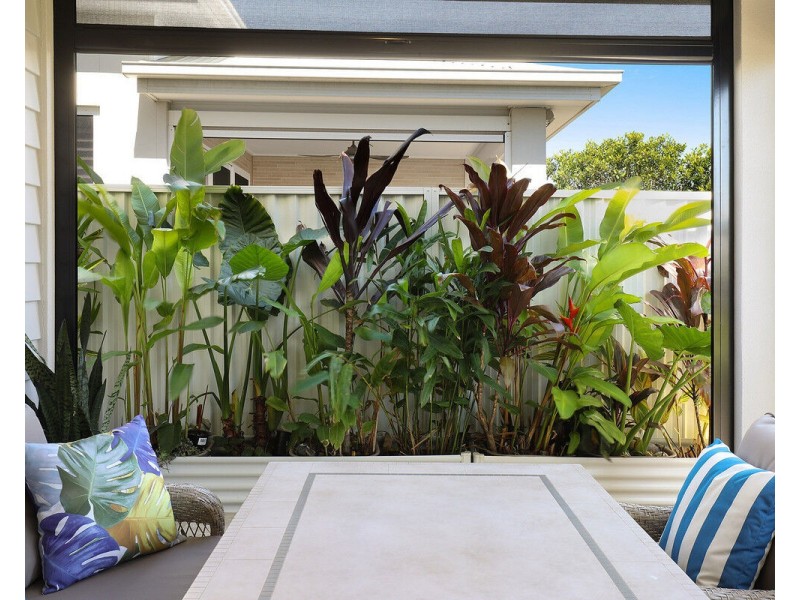 52/40 Menzies Drive, Pacific Paradise QLD 4564