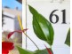 61/171 David Low Way, Bli Bli QLD 4560