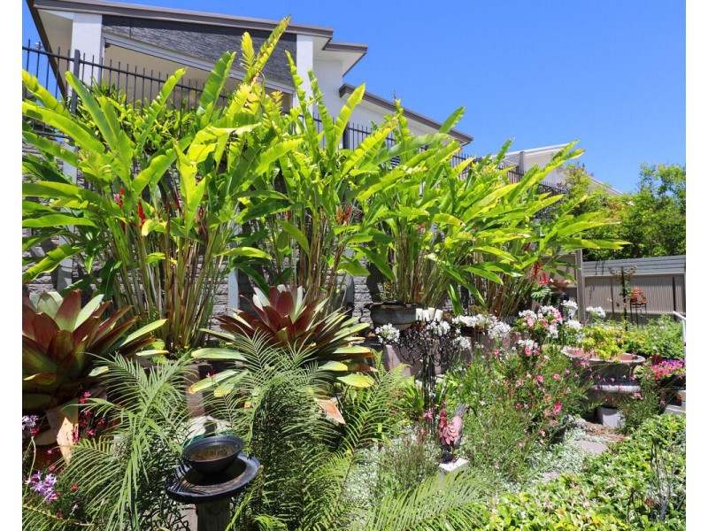 114/1 Halcyon Way, Bli Bli QLD 4560