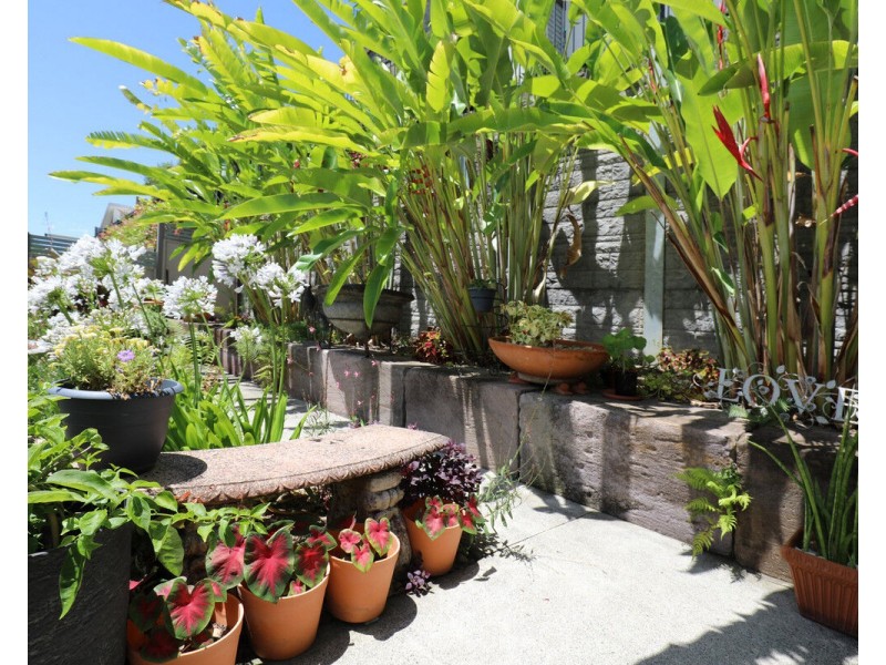 114/1 Halcyon Way, Bli Bli QLD 4560