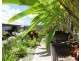 114/1 Halcyon Way, Bli Bli QLD 4560
