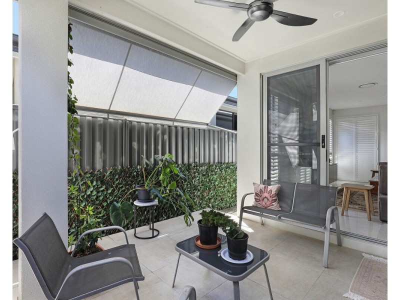 11/596 David Low Way, Pacific Paradise QLD 4564