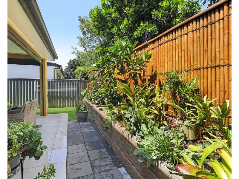 4/596 David Low Way, Pacific Paradise QLD 4564