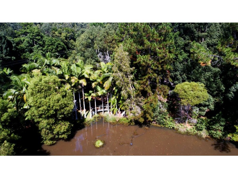 112 Mount Warning Road, Murwillumbah NSW 2484