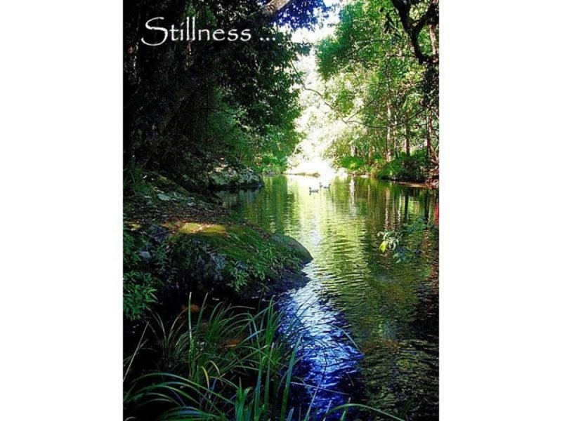 112 Mount Warning Road, Murwillumbah NSW 2484