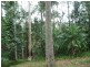 328 Couchy Creek Road, Chillingham NSW 2484