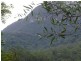 328 Couchy Creek Road, Chillingham NSW 2484