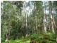 328 Couchy Creek Road, Chillingham NSW 2484