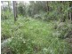 328 Couchy Creek Road, Chillingham NSW 2484
