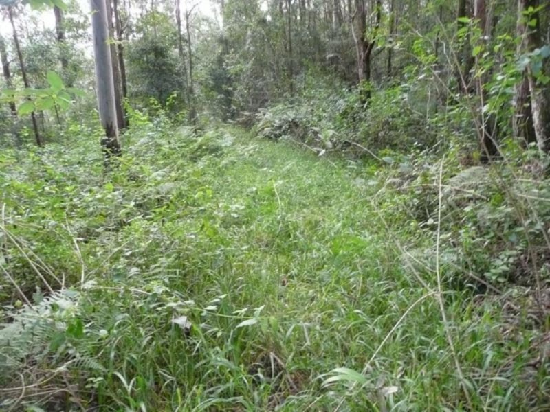 328 Couchy Creek Road, Chillingham NSW 2484