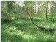 328 Couchy Creek Road, Chillingham NSW 2484