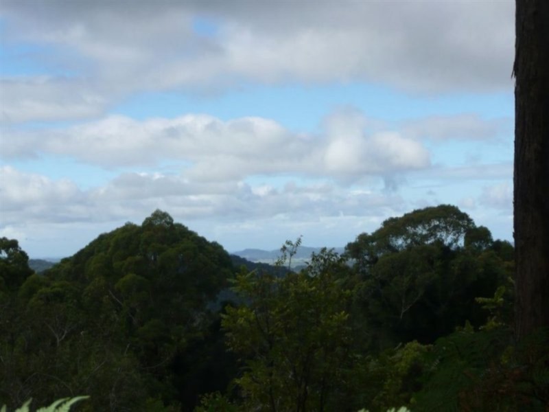 328 Couchy Creek Road, Chillingham NSW 2484