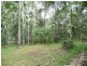 328 Couchy Creek Road, Chillingham NSW 2484