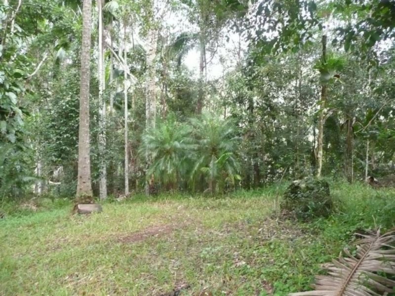 328 Couchy Creek Road, Chillingham NSW 2484
