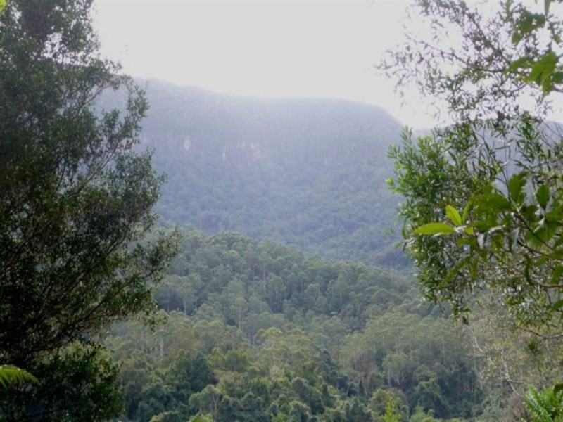 328 Couchy Creek Road, Chillingham NSW 2484